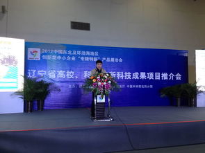 2012中國(guó)東北及環(huán)渤海地區(qū)中小企業(yè)專精特新產(chǎn)品技術(shù)展覽洽談會(huì)市場(chǎng)營(yíng)銷策劃